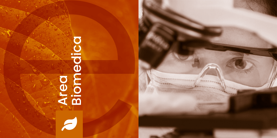 Master in Bioetica